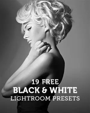 19-Free-Black-And-White-Lightroom-Presets banner image