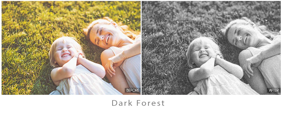 Black and white black and white presets for lightroom free download