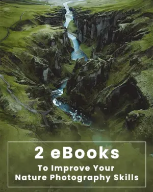 2-ebooks-nature-photography-skills-feature-image