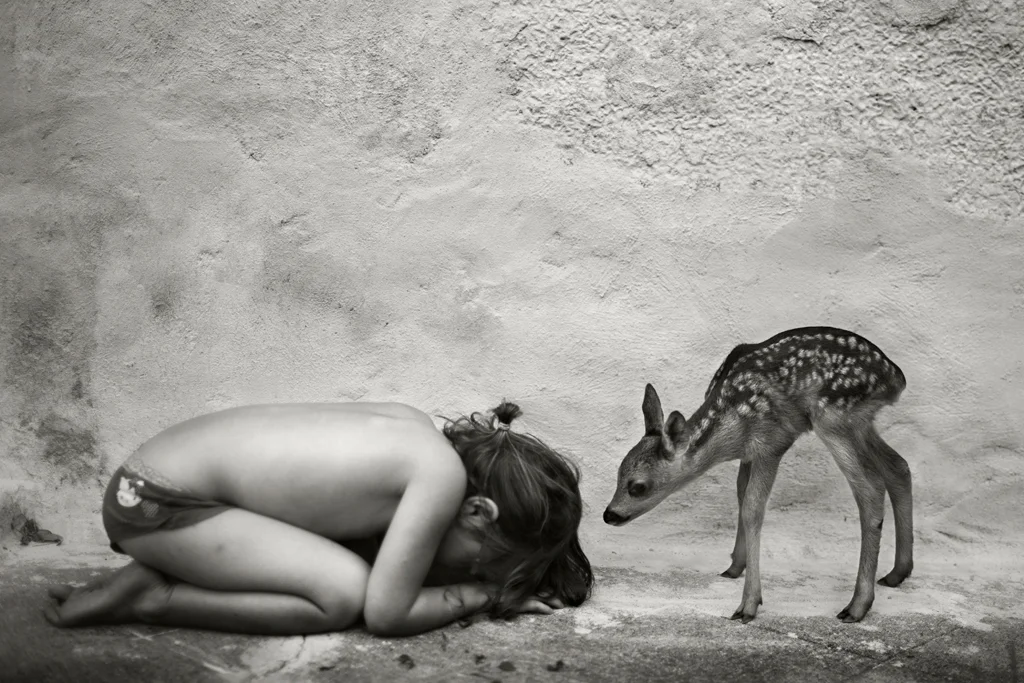 Image of lili and a fawn