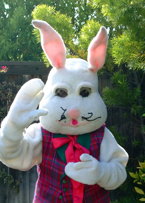 Easter bunny photoshoot