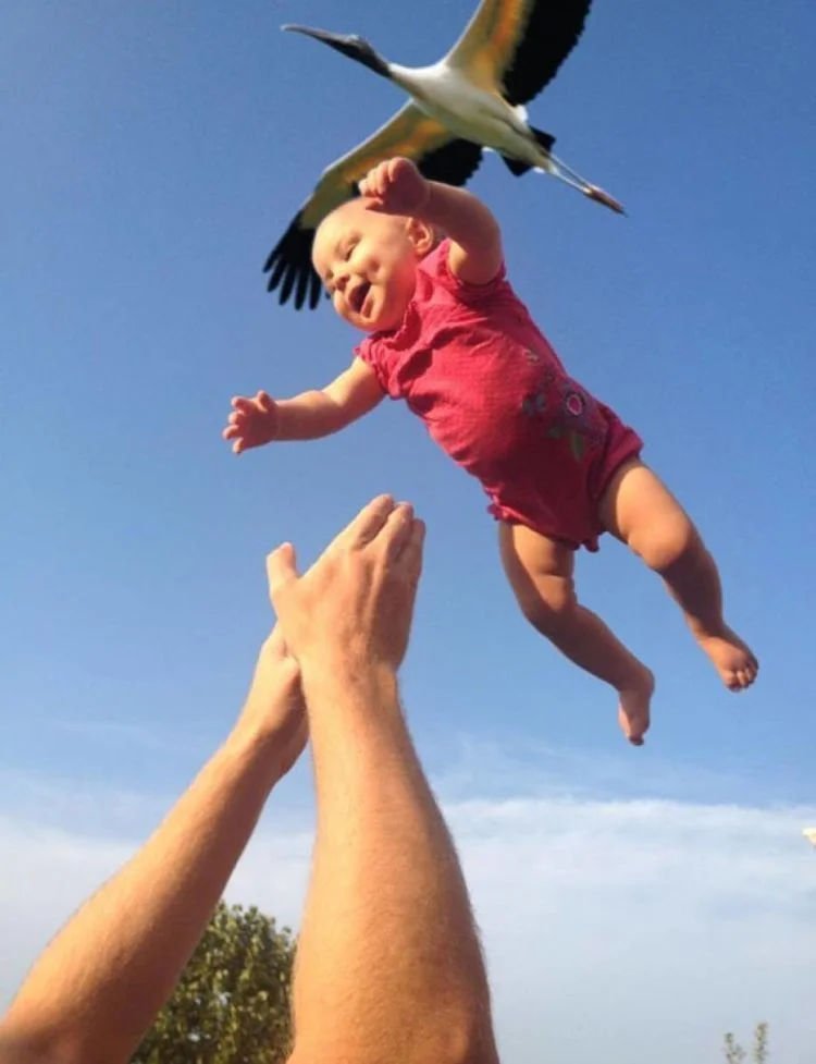 baby delivered by a stork