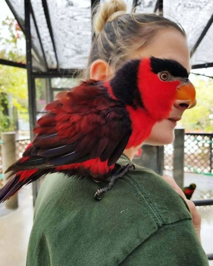 woman posing with a bird