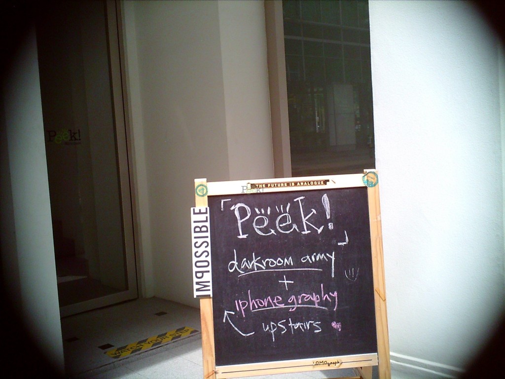 sample image using polaroid camera