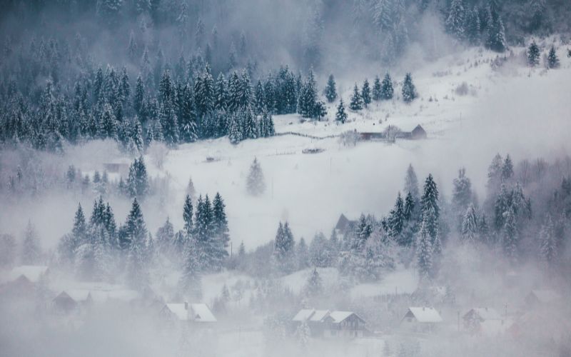 Winter postcard