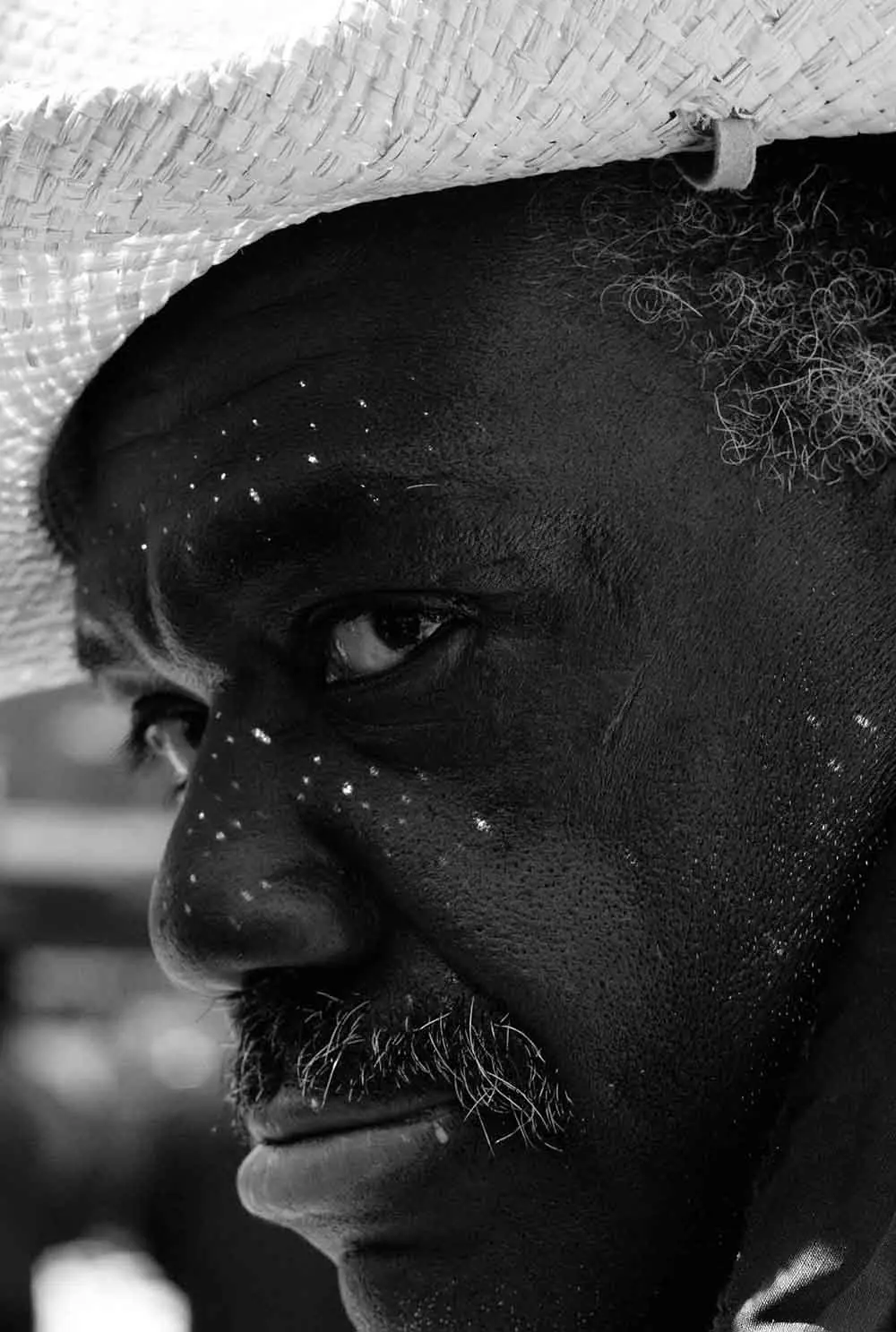 Chicago Redline photographs