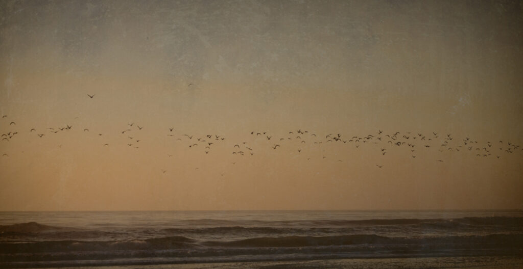 symbolizes your entire life photograph
