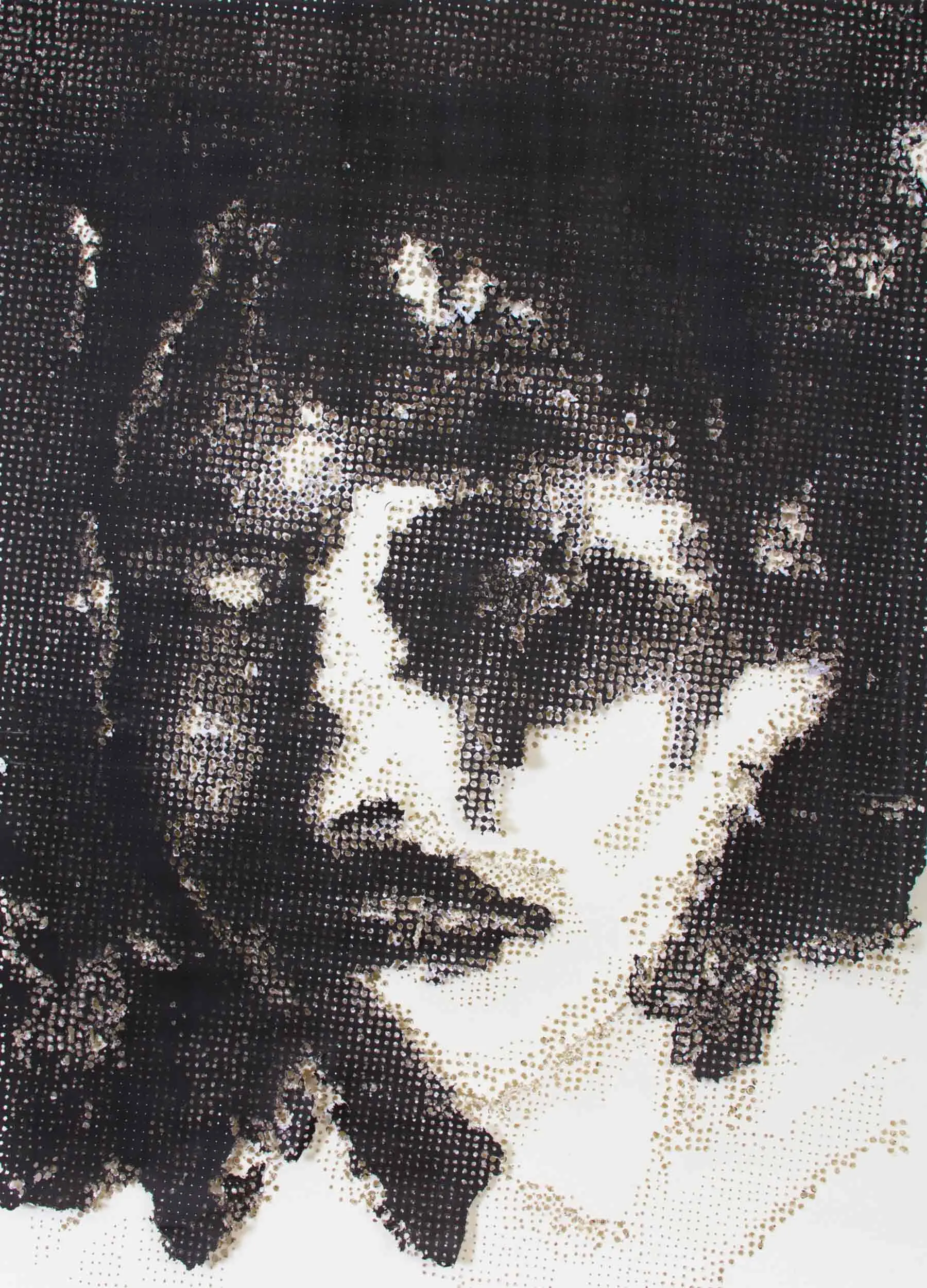 start in printmaking