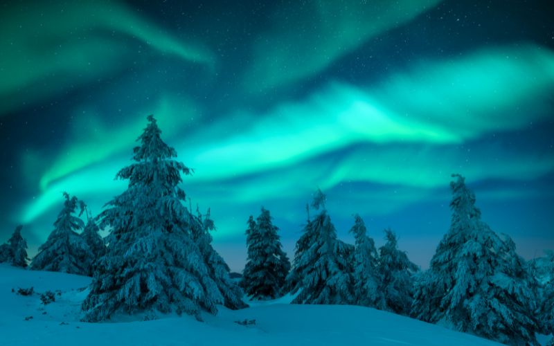 Northern lights in winter forest