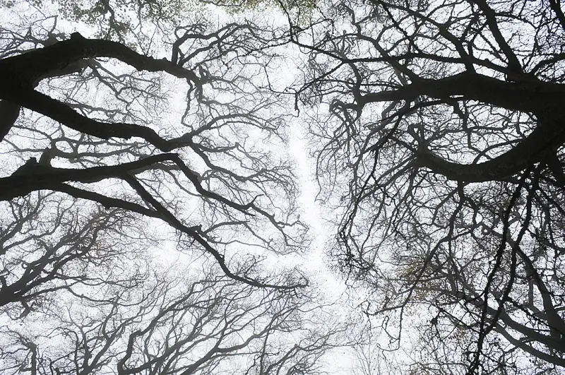 landscape photography is wonderful