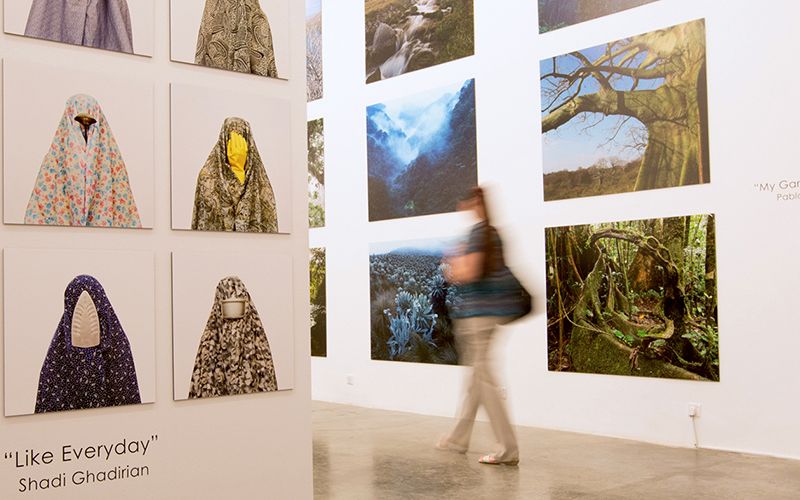 Gulf Photos Feature Image