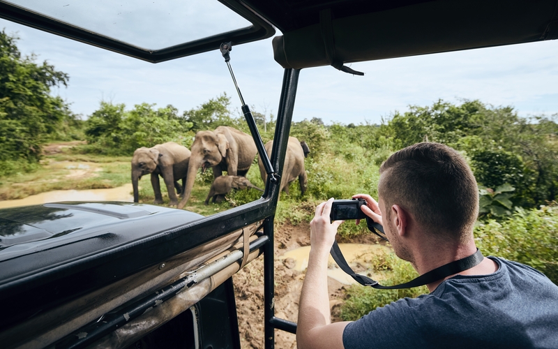 Wildlife Photographer