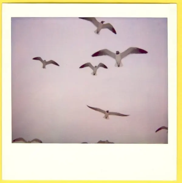 writer, photographer - and journalist Brad Zellar on nature