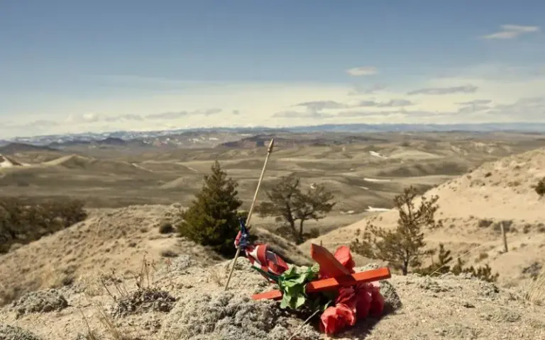 Detailed Portrait Photography