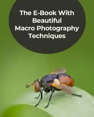 macro photography techniques