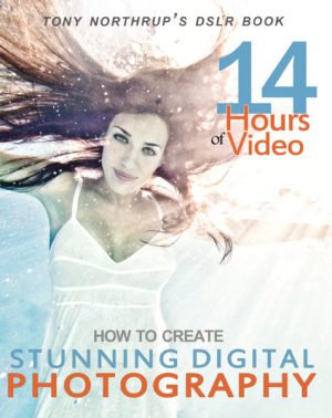 digital photography guide