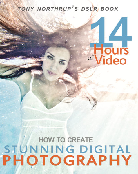 digital photography guide