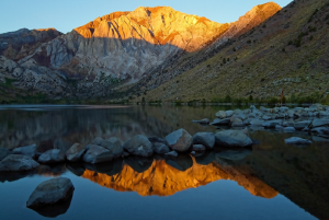 image of 8 Types of Natural Light E-book by Anne McKinnell