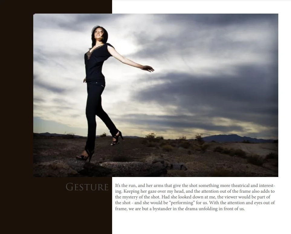 a preview of the book