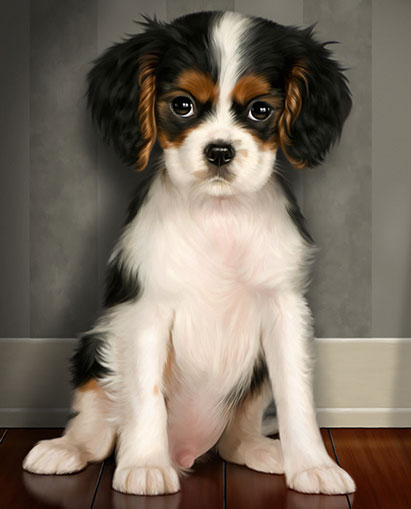 image of a dog