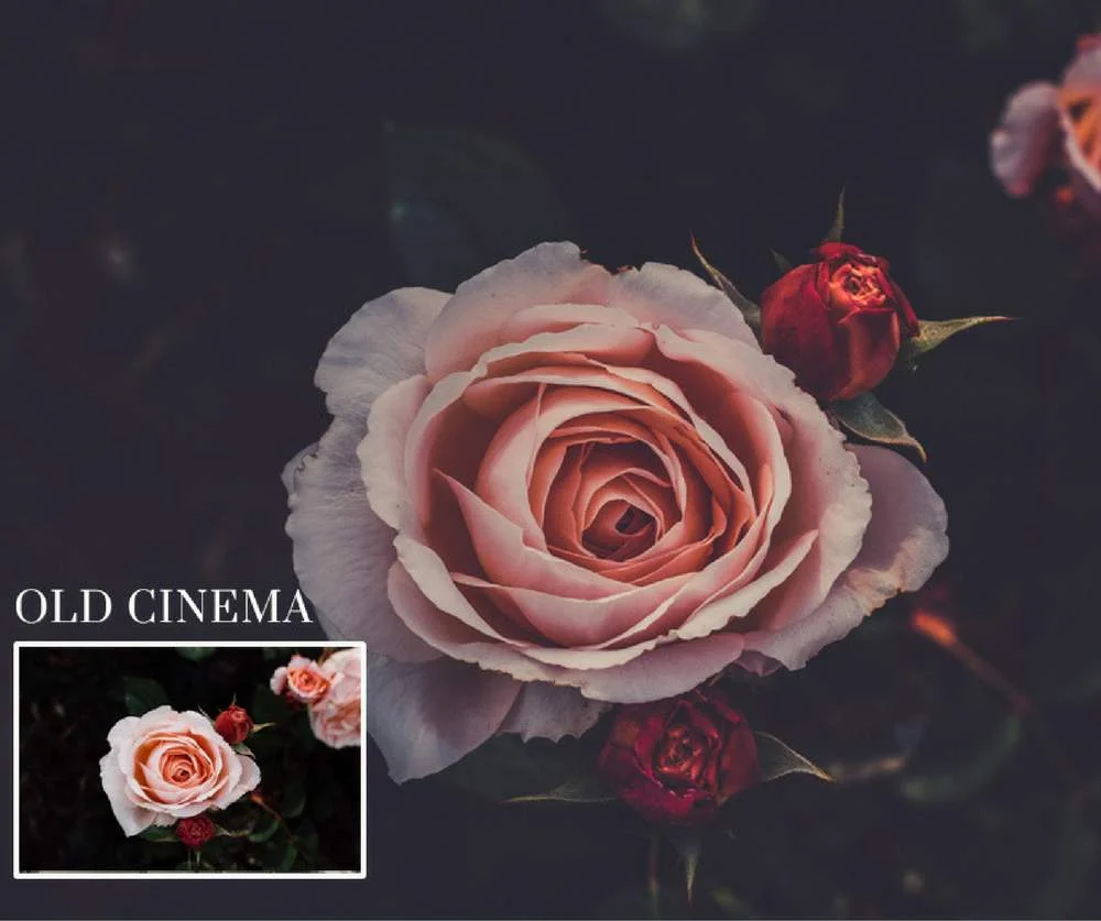 old cinema effect, free portrait Lightroom presets, free landscape Lightroom presets
