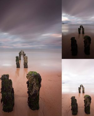 collage of scenic images