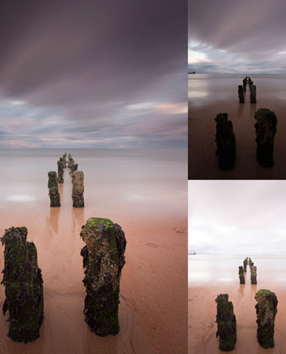 collage of scenic images