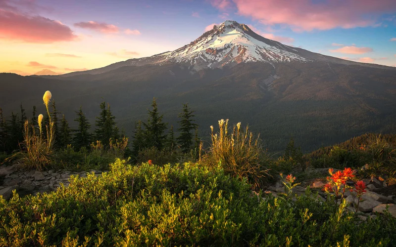 an image of mountain