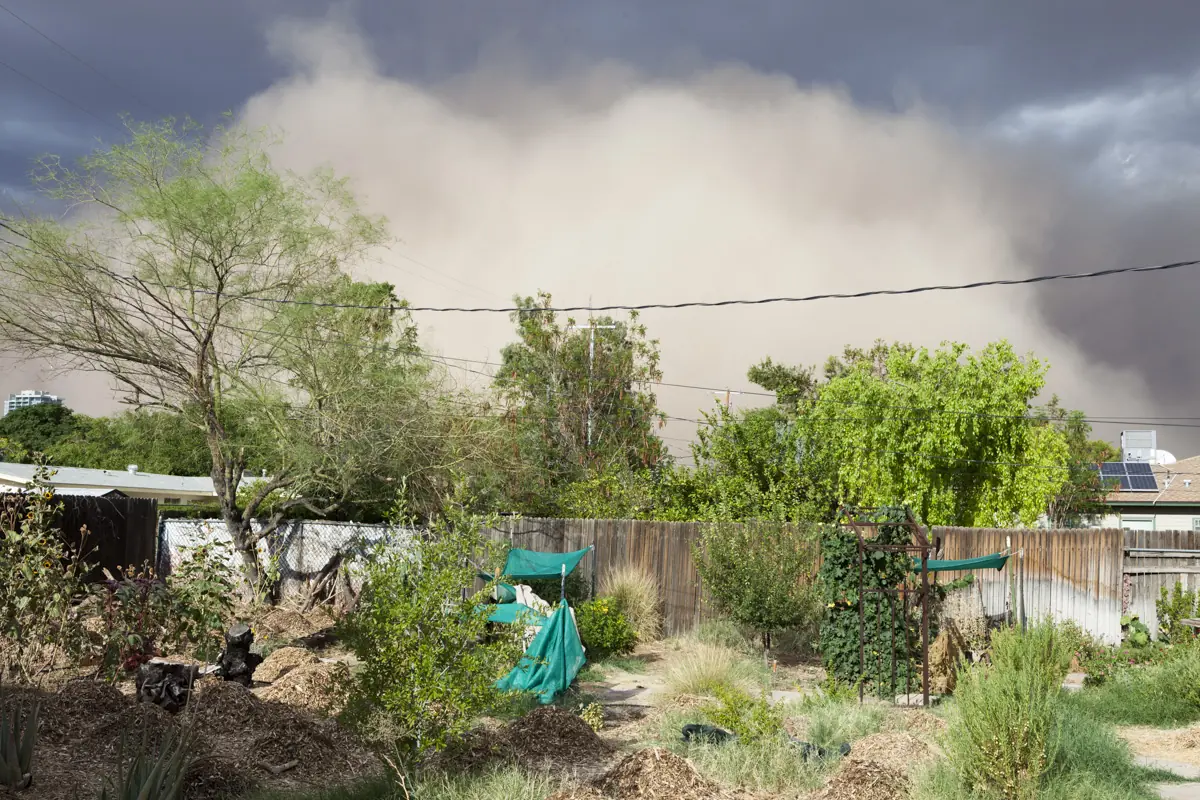 Edgar Cardenas - documenting a practice of sustainability