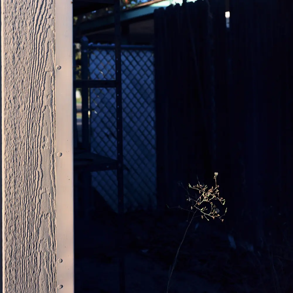 Edgar Cardenas - elevation of awareness by Edgar Cardenas