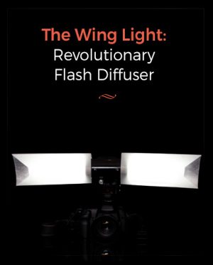 wing light