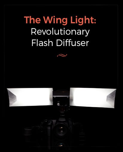 wing light