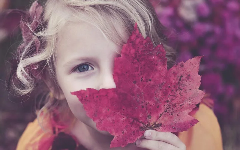 free photoshop actions for portraits