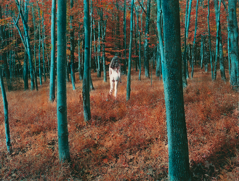 hand painted photography - landscape