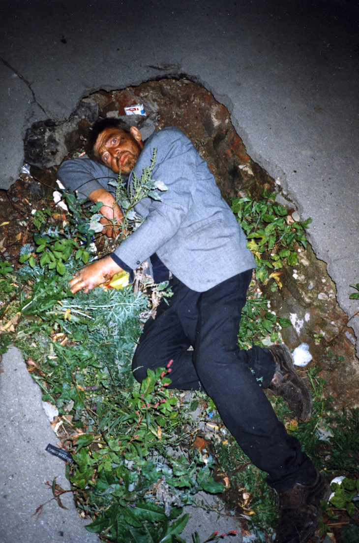 roadkill photos - mindless imitation