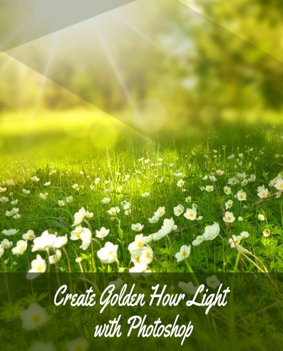 image of golden hour portrait
