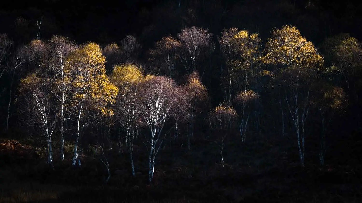 professional landscape photographer