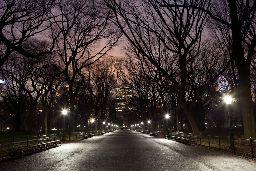new york photography