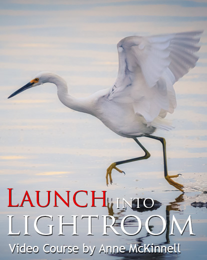 lightroom tutorial video