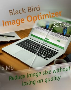 image optimizer