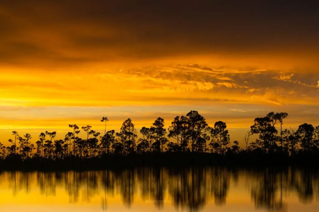 beautiful image of dusk