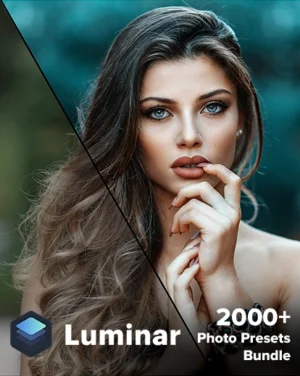 luminar presets banner