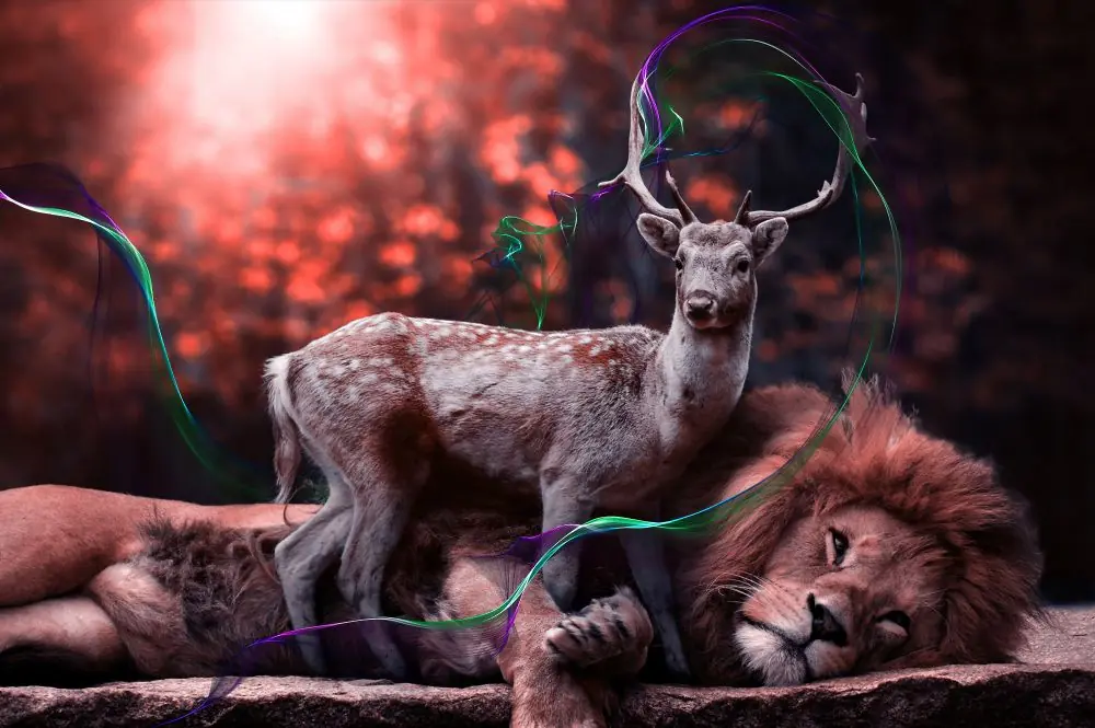 overlays transparent preview deer