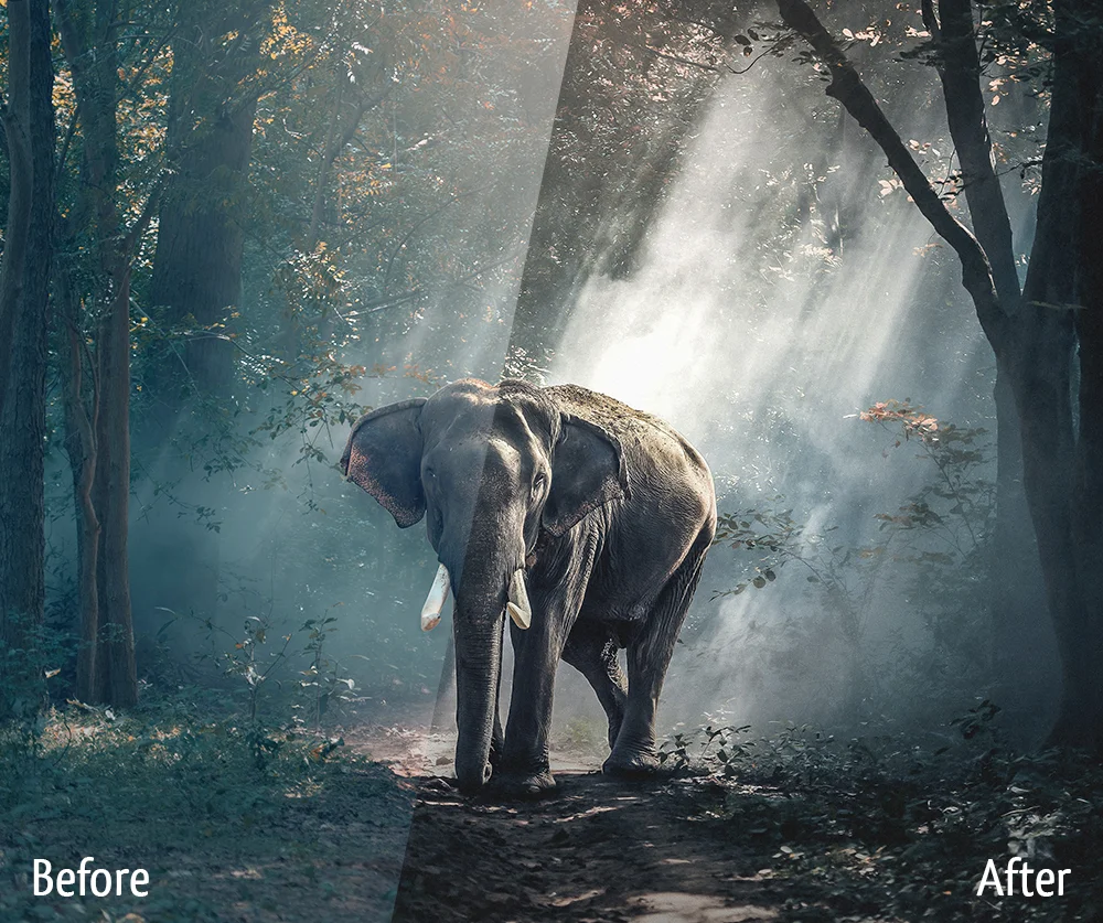 film before and after lr effect, Film Lightroom Presets