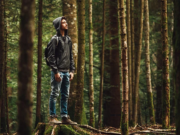 Free HDR Lightroom Presets, HDR lightroom Presets