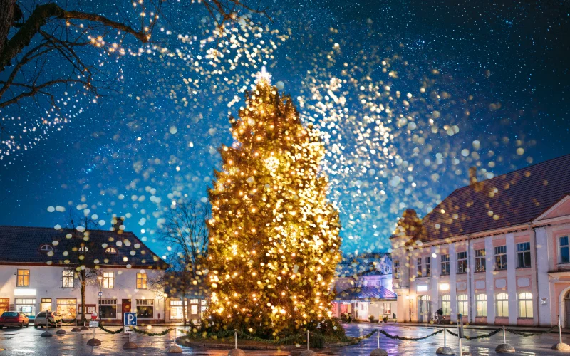 Christmas tree after editing with overlays