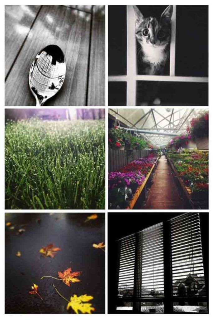 mobile photography previews