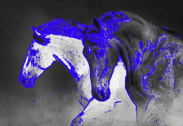 horses sharpening image