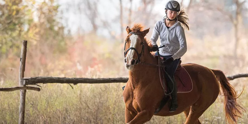 horse riding