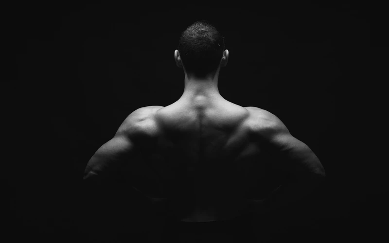 Black and white photo of a man's bare back and shoulders